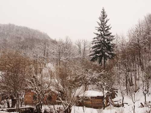 Foto Amintiri din copilarie (c) Petru Goja